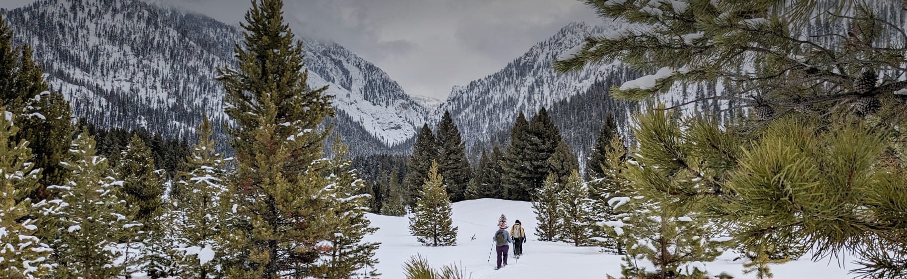 Recreation.gov Camping, Cabins, RVs, Permits, Passes & More